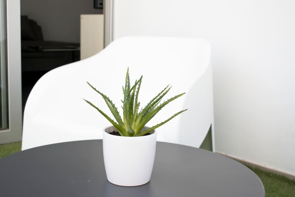 Glabur Stays - The Amazing 1 Bdr - Executive Apt Nicosia Center Free Parking & Wifi Exterior foto